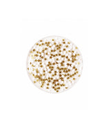 JINsoon Bijou swatch